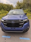 Forester SL